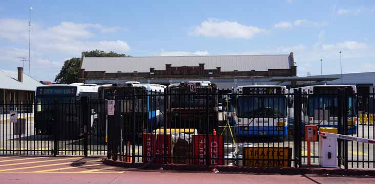 STA Leichhardt depot